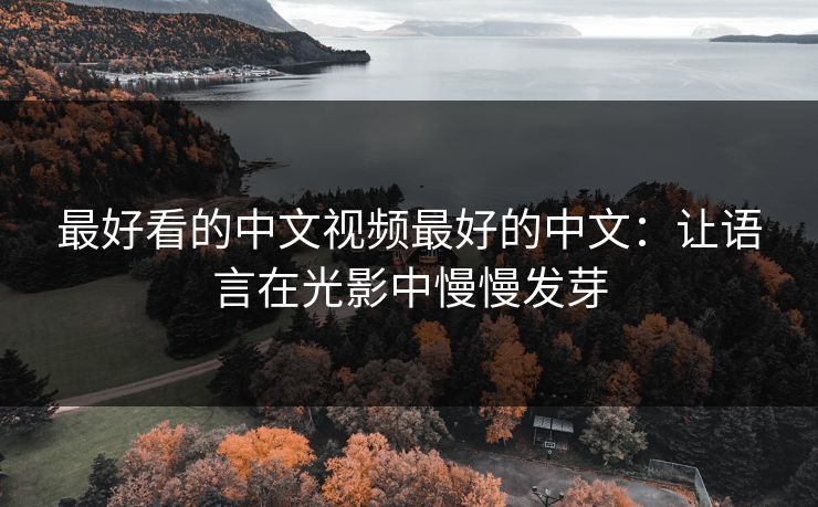 最好看的中文视频最好的中文：让语言在光影中慢慢发芽