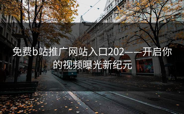 免费b站推广网站入口202——开启你的视频曝光新纪元