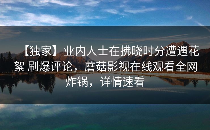【独家】业内人士在拂晓时分遭遇花絮 刷爆评论，蘑菇影视在线观看全网炸锅，详情速看